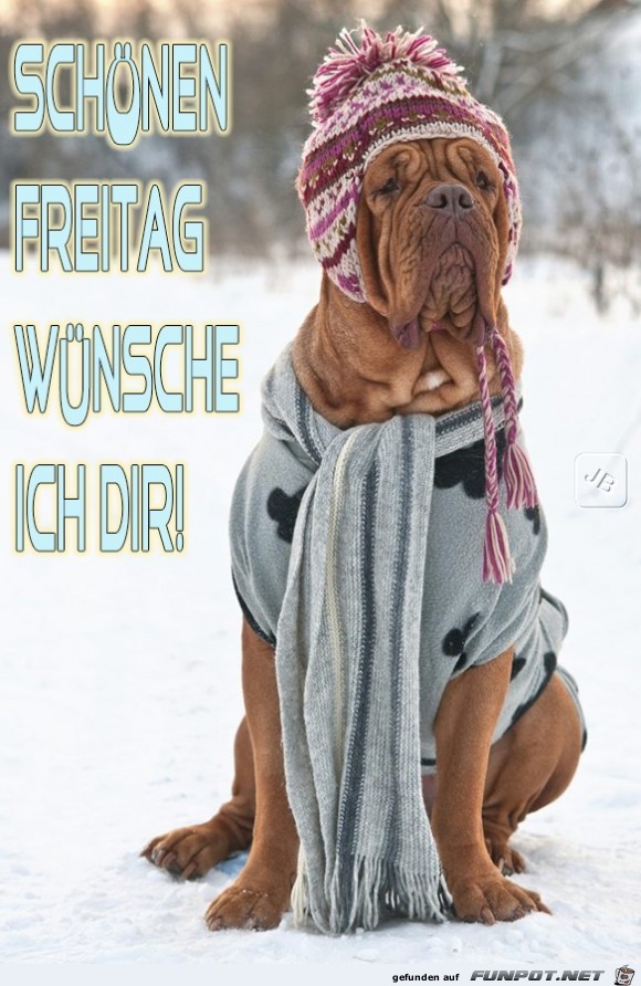 Freitag Freitag