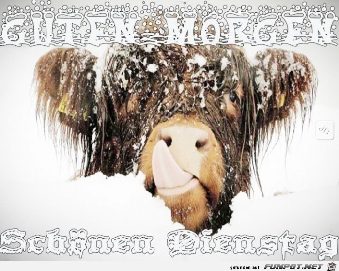 Dienstag Dienstag