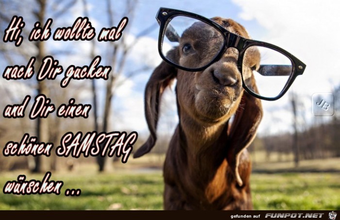 Samstag Samstag