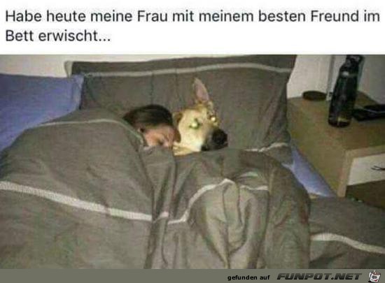 Erwischt Erwischt