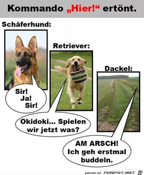 Die kleinen Unterschiede Die kleinen Unterschiede
