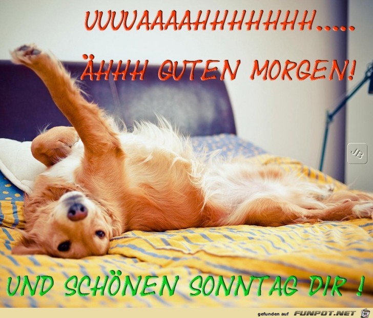 Sonntag Sonntag