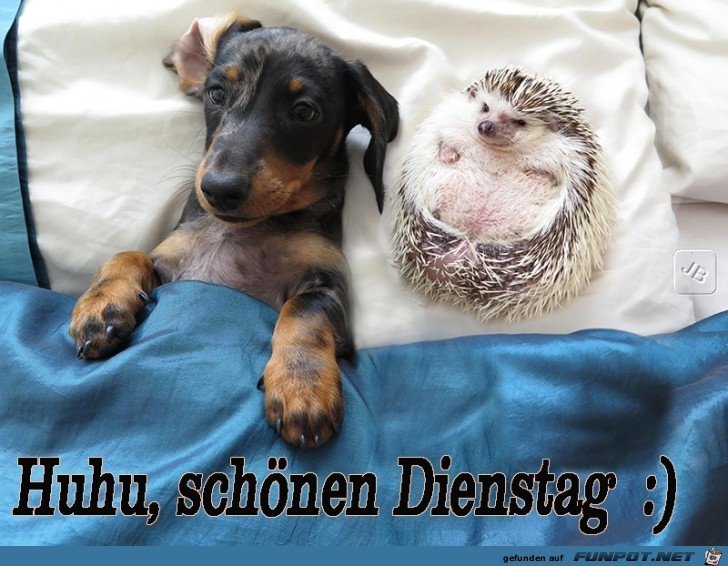 Dienstag