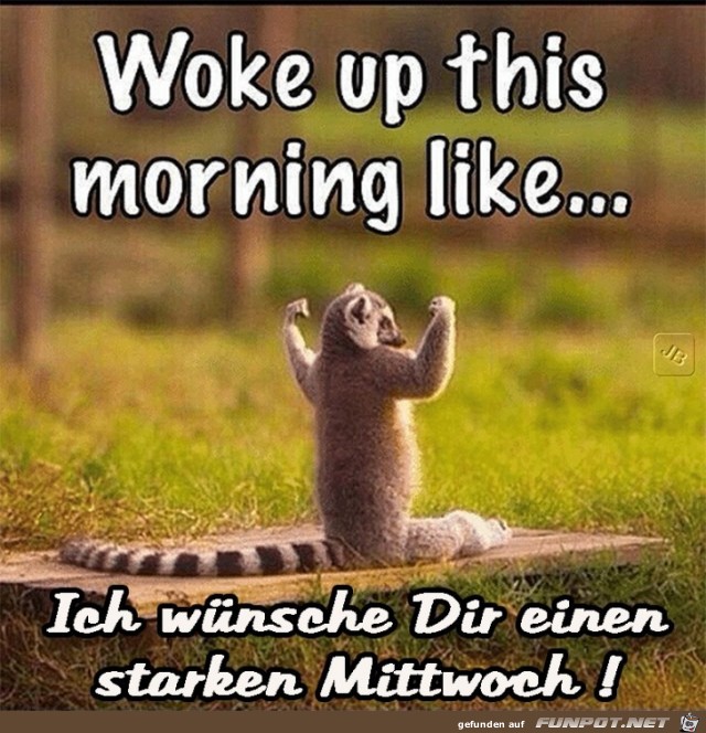 Mittwoch Mittwoch