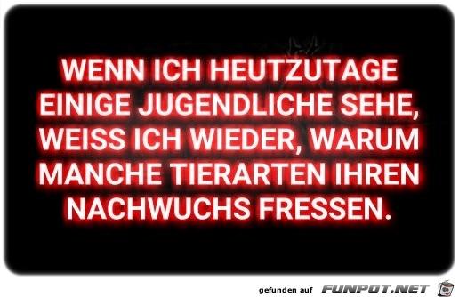 Nachwuchs Nachwuchs