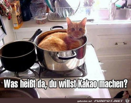 Besetzt Besetzt