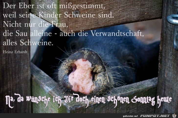 Sonntag Sonntag