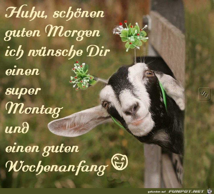 Montag Montag