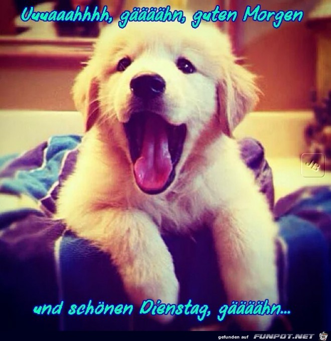 Dienstag Dienstag