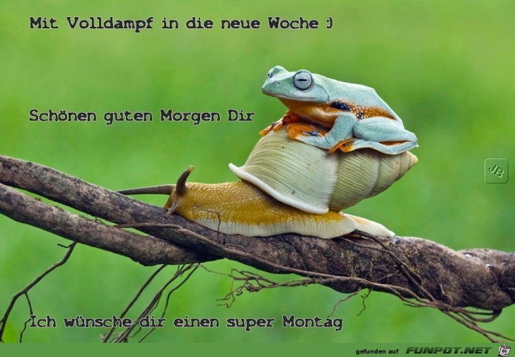 Montag Montag