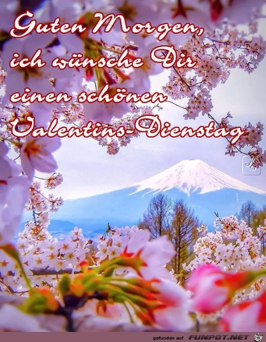 Dienstag Dienstag