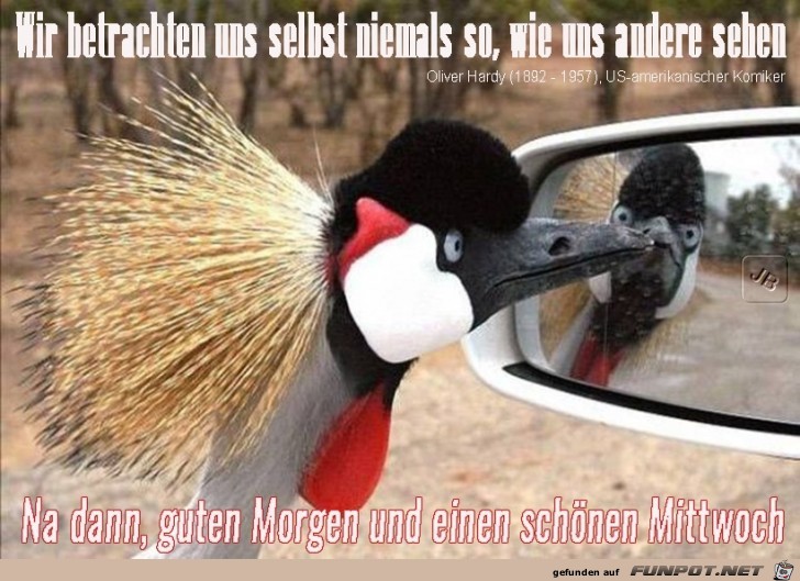 Mittwoch Mittwoch