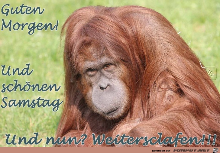 Samstag Samstag