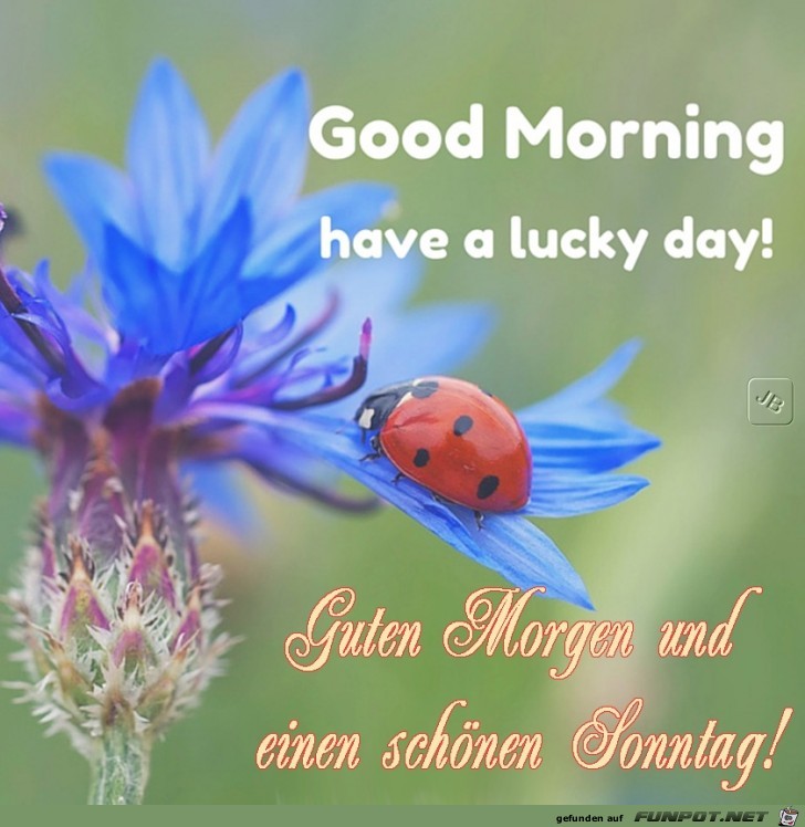 Sonntag Sonntag