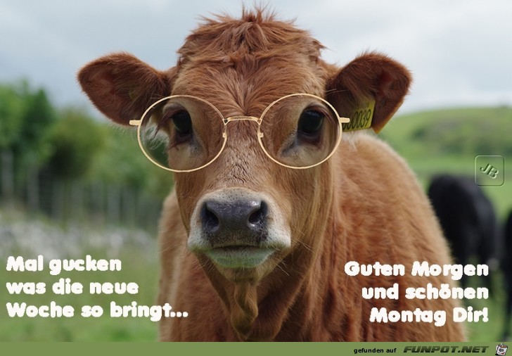 Montag Montag