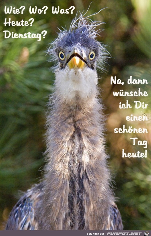 Dienstag Dienstag