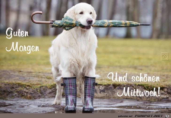 Mittwoch Mittwoch