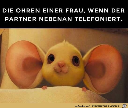 Die Ohren einer Frau...