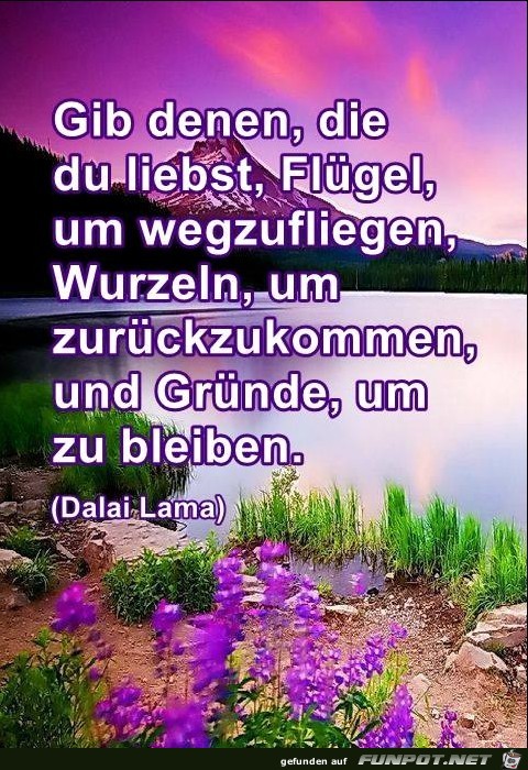 Gib denen die du liebst Gib denen die du liebst