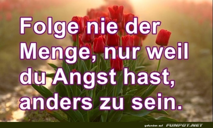 10 schne Sprche und Lebensweisheiten aus...