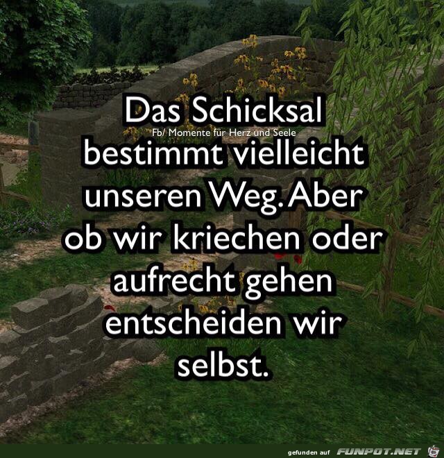 Das Schicksal