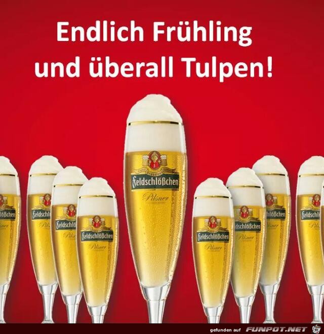 endlich Frühling..... endlich Frühling.....