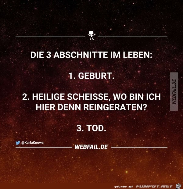 die 3 Lebensphasen die 3 Lebensphasen