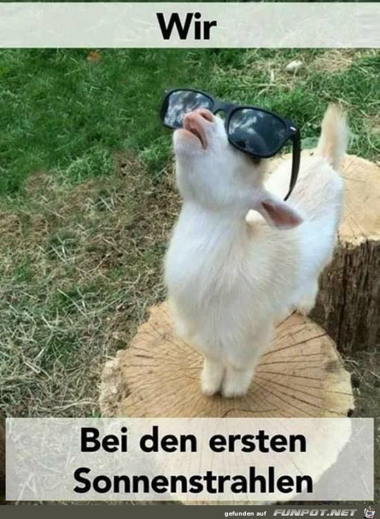 Ja eben cool Ja eben cool