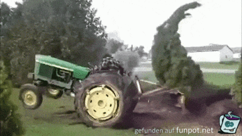 Baum wehrt sich Baum wehrt sich