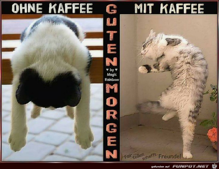 Ohne Kaffee