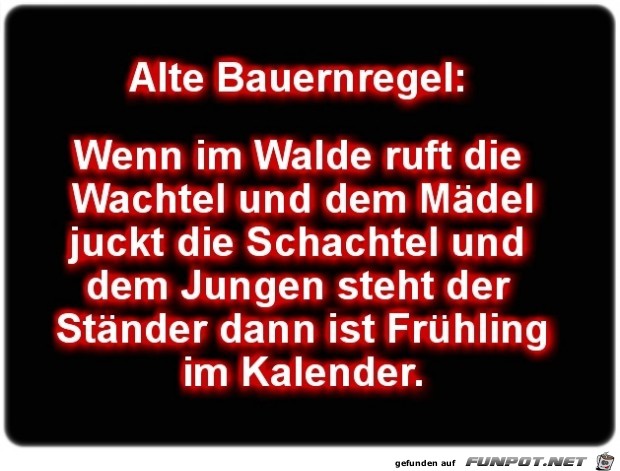 Fruehling Fruehling