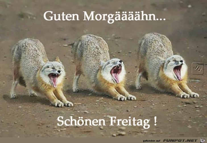 Freitag Freitag