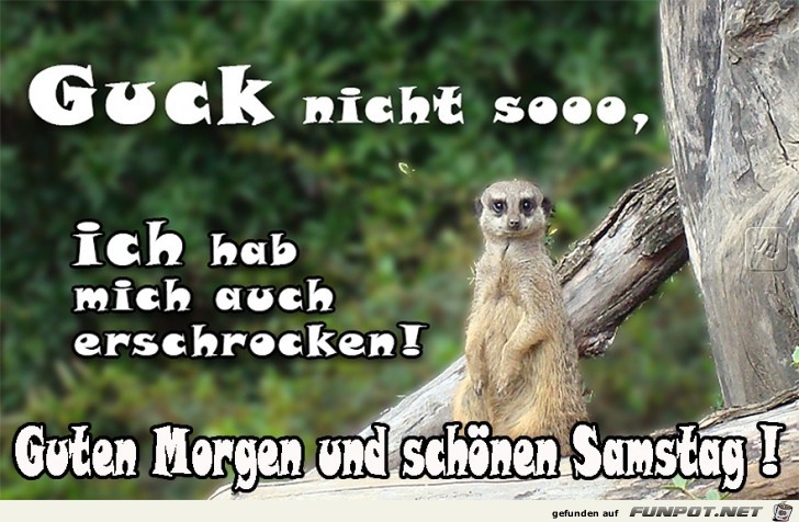 Samstag Samstag