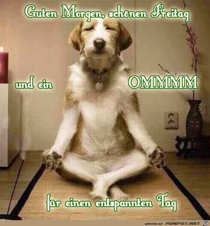 Freitag Freitag