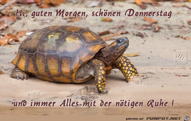 Donnerstag Donnerstag
