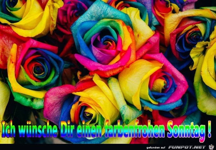 Sonntag Sonntag