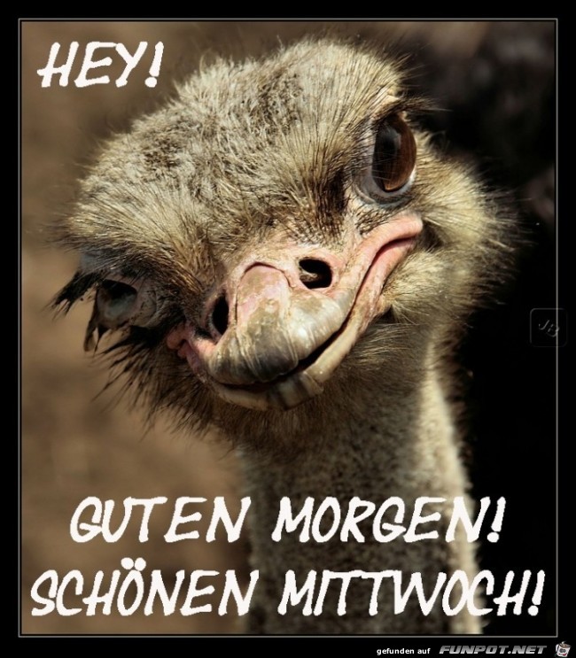 Mittwoch Mittwoch