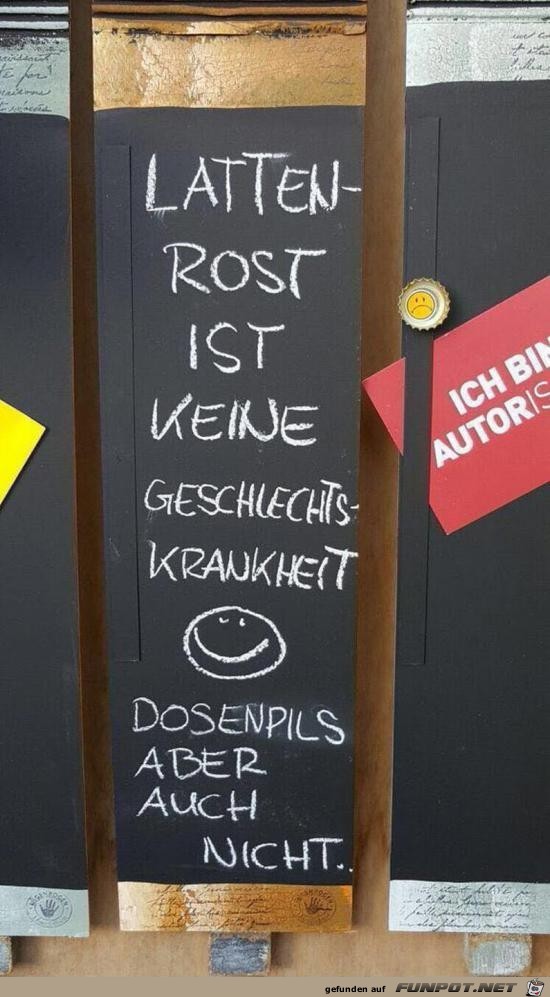 Lattenrost und Dosenpils Lattenrost und Dosenpils