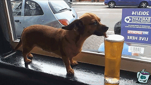 Bierdieb Bierdieb