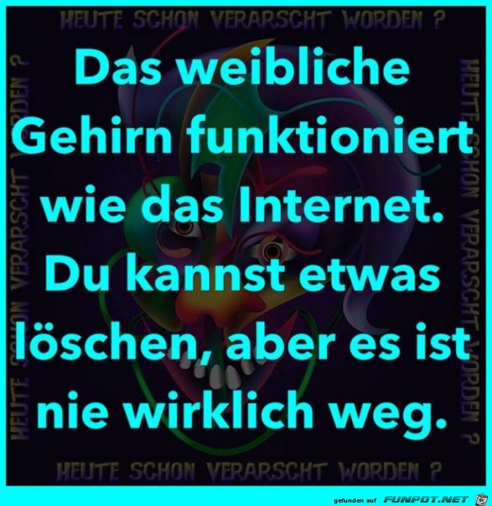 Das weibliche Gehirn Das weibliche Gehirn