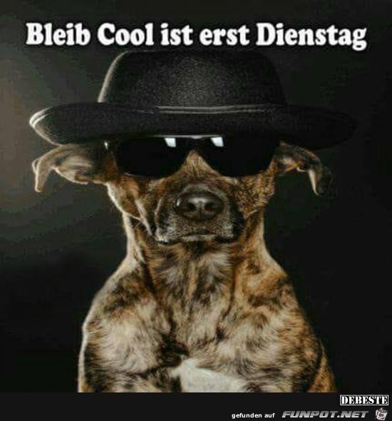 bleib cool.......