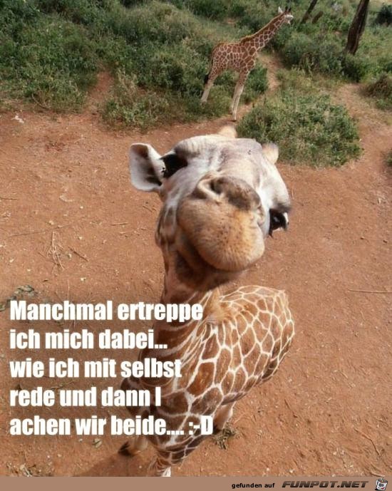 manchmal ertappe ich mich dabei........