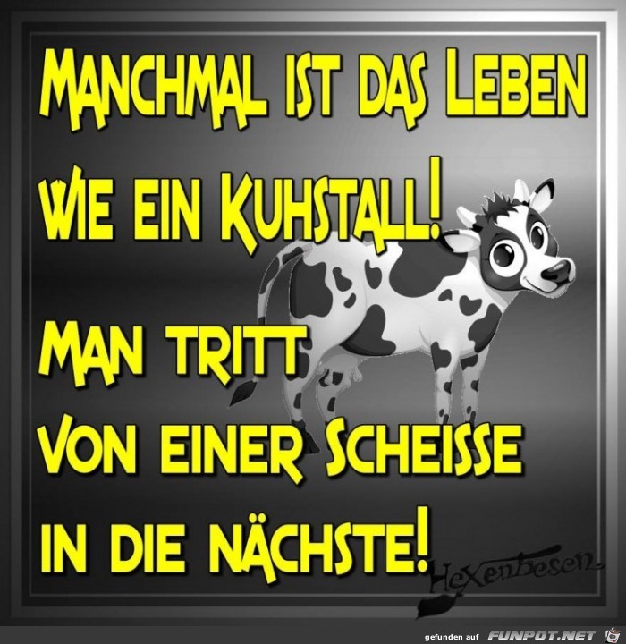 Manchmal ist das Leben