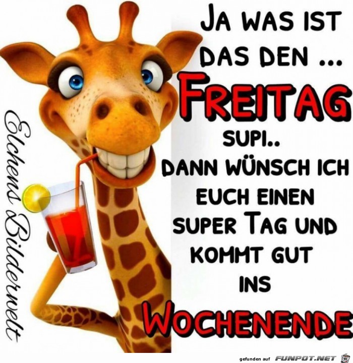 Ja was ist das den Ja was ist das den