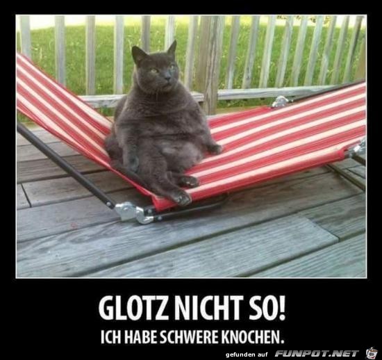 Schwere Knochen