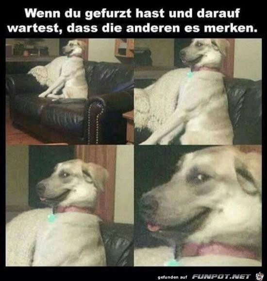 Ich warte