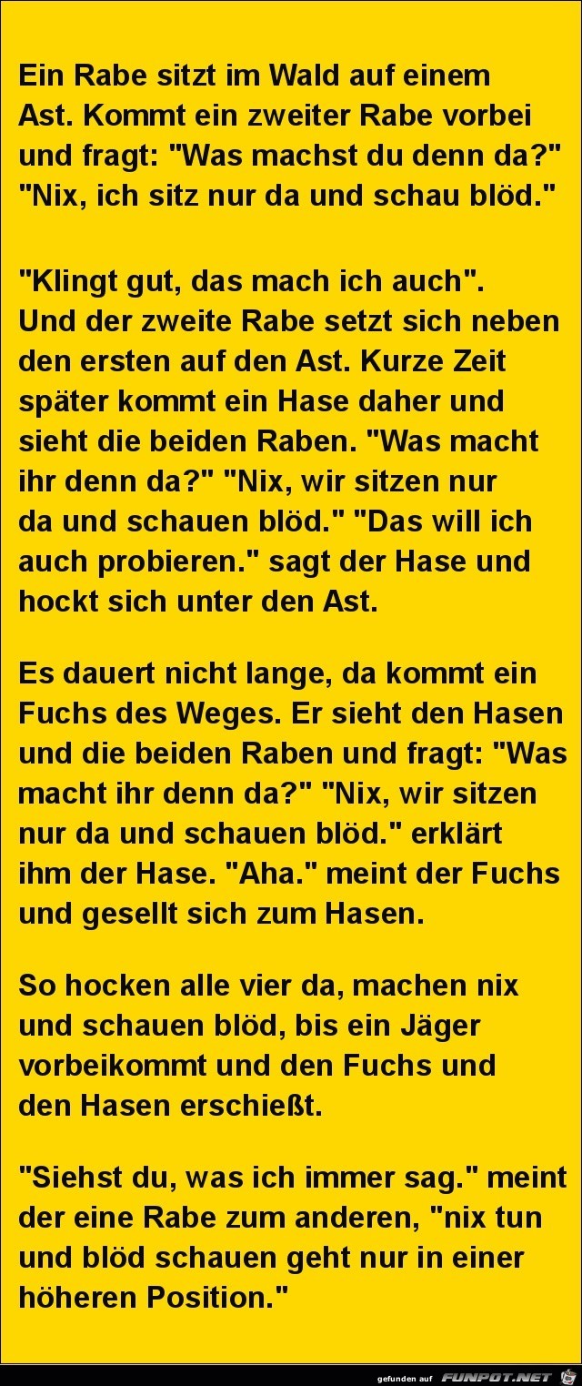 ein Rabe sitzt im Wald auf einem Ast....... ein Rabe sitzt im Wald auf einem Ast.......