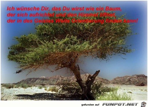 ich wnsche dir, das du wirst wie ein Baum.......