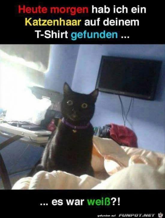 Entlarvt Entlarvt