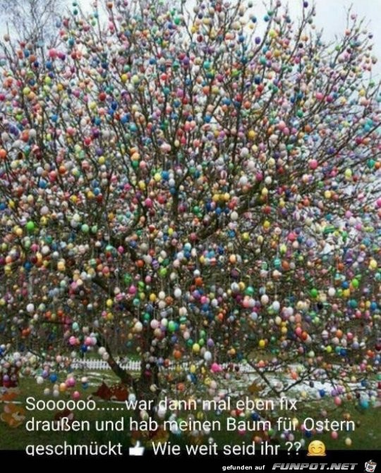 Baum ist geschmückt Baum ist geschmückt